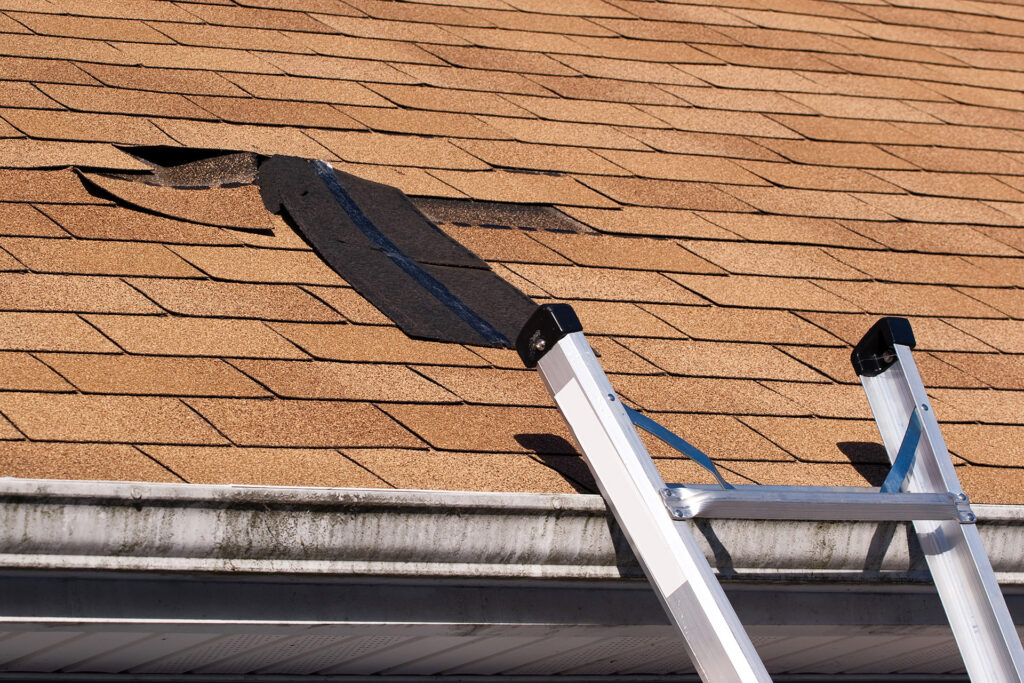 Damaged shingles on roof.