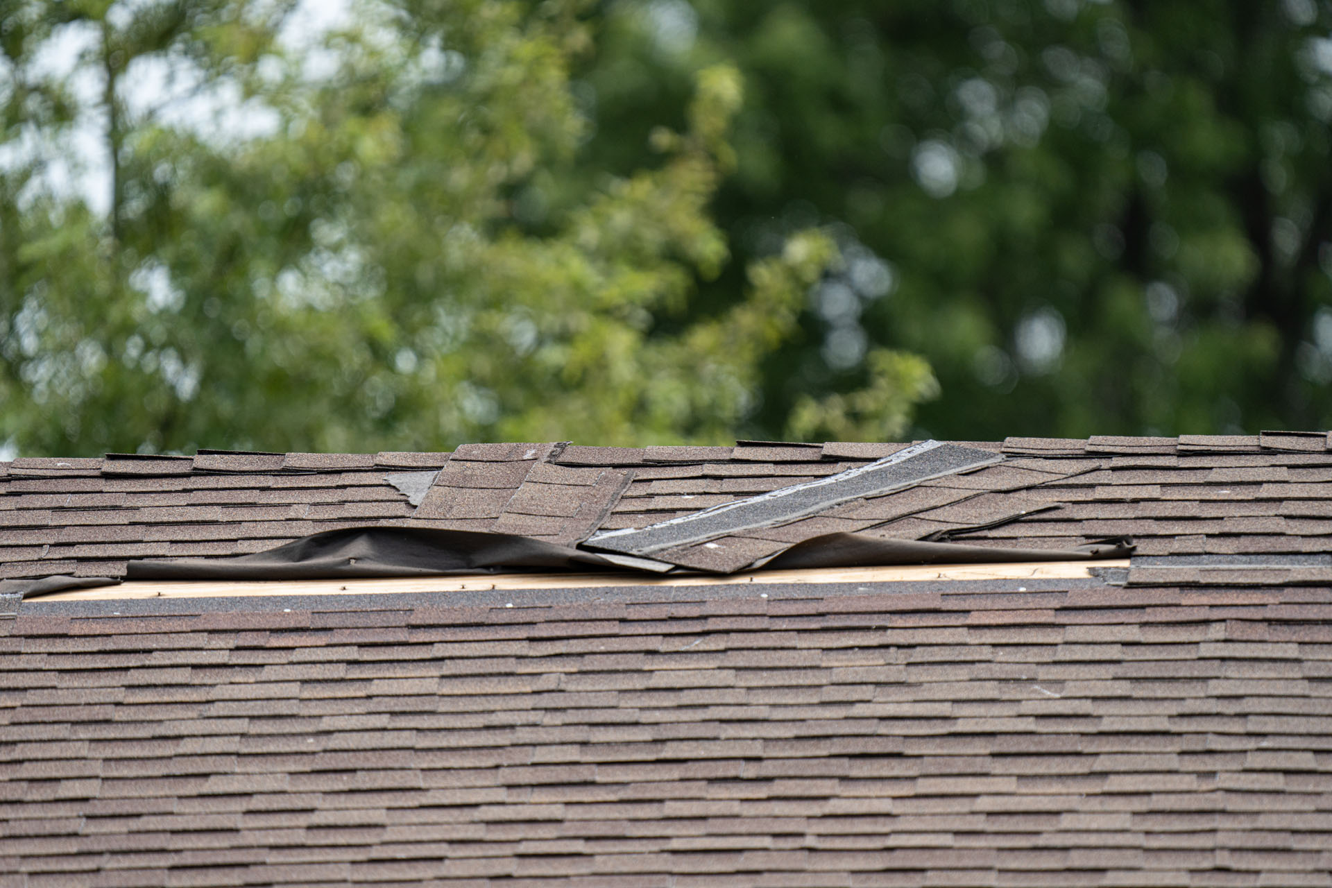 Lifted and damaged asphalt shingles after wind and storm damage on a residential roof